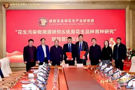 胡姬花全球花生产业研究院首席顾问张新友院士团队，科研攻坚筑起非遗技艺传承安全线图片