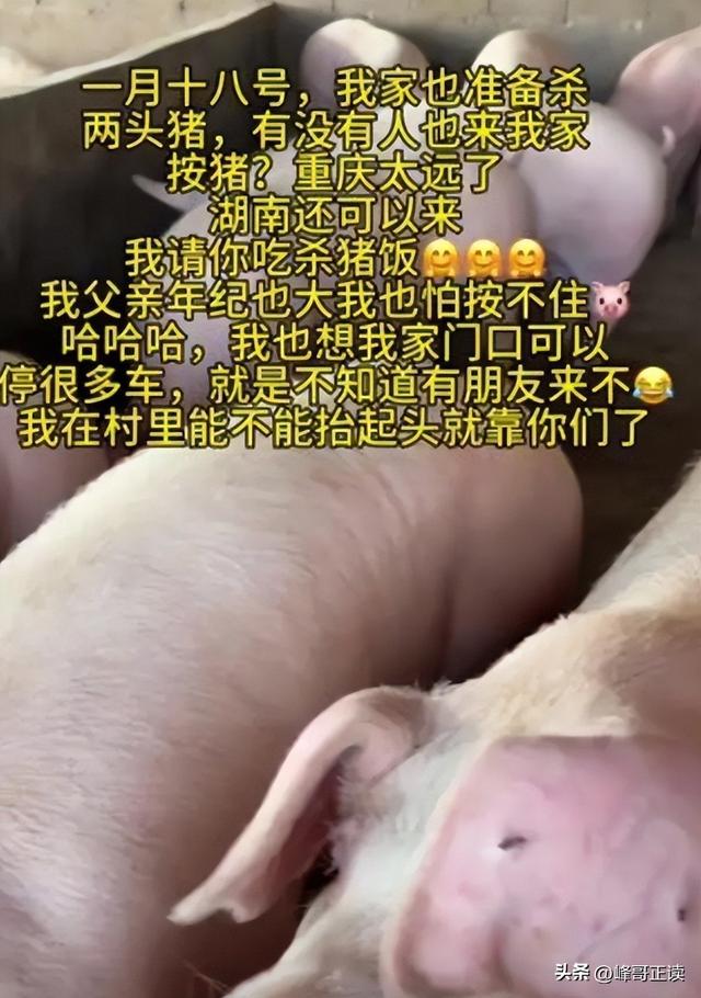 乐山刨汤宴风波愈演愈烈！警方已介入，令人担心的事情还是发生了