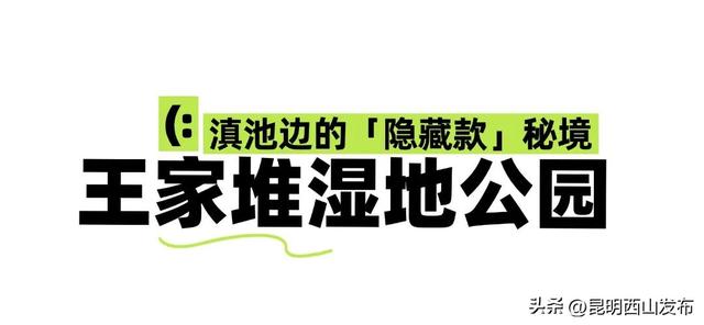 太仙啦！西山秋日必逛的宝藏公园，第一个就“美到心巴”