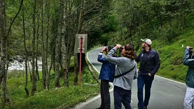 国庆中秋玩转广元 | 山水奇绝，风味独特！一键开启青川度假时光！