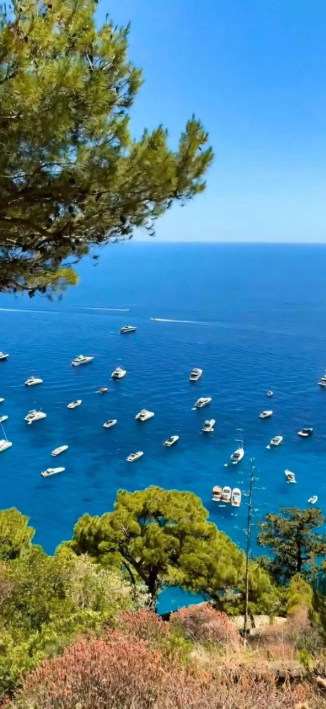 手机壁纸|海边的自然风景