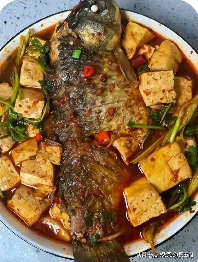 我学会了8种炖鱼的做法，家里人都说好吃