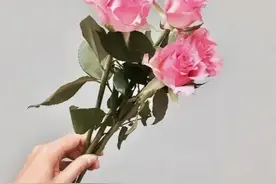 抖音最火情感语录，句句经典唯美！图片