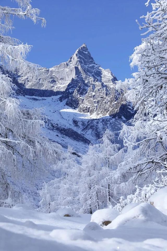 等了一年的雪地温泉，果然没让人失望~
