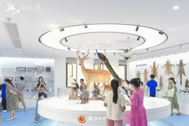 免费开放！长沙这9个清凉室内场所适合待一天