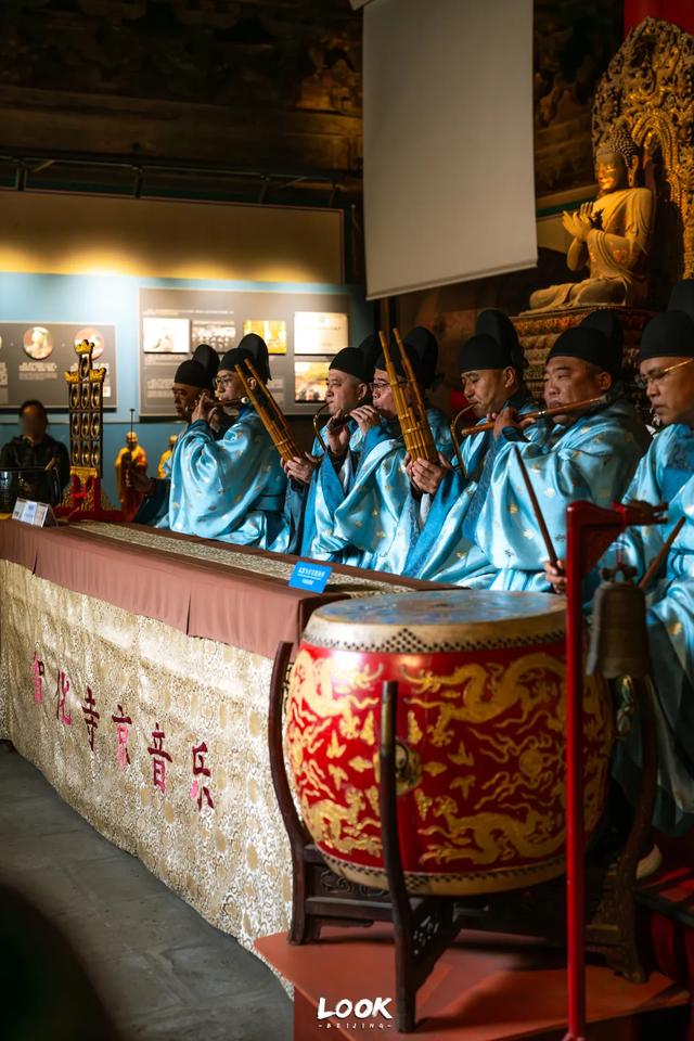 北京最新秋日打卡地 · 再看要等明年