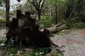 “桦加沙”二次登陆！强风雨转移到哪了？图片
