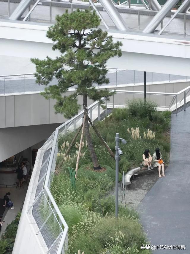 我们还能回归至“以骑行为日常”的生活方式吗？