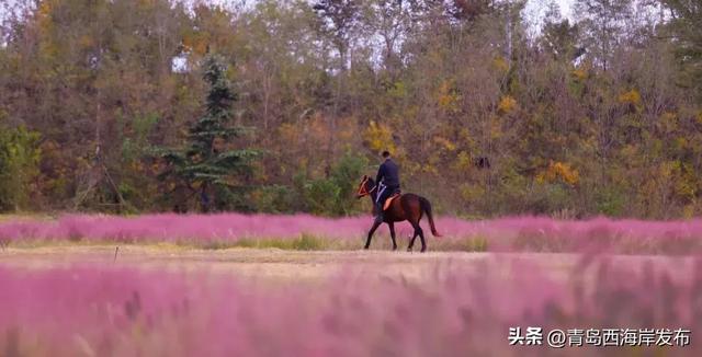走不出这画了,我已被西海岸的秋景迷倒 🥹
