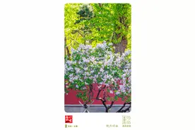 早啊！新闻来了〔2025.5.1〕图片