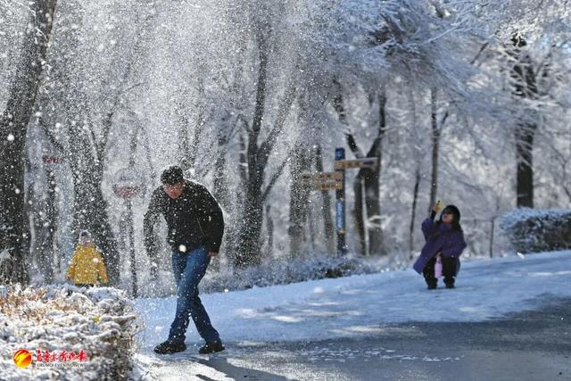 听我的，雪后的乌鲁木齐，真的能治愈一切！