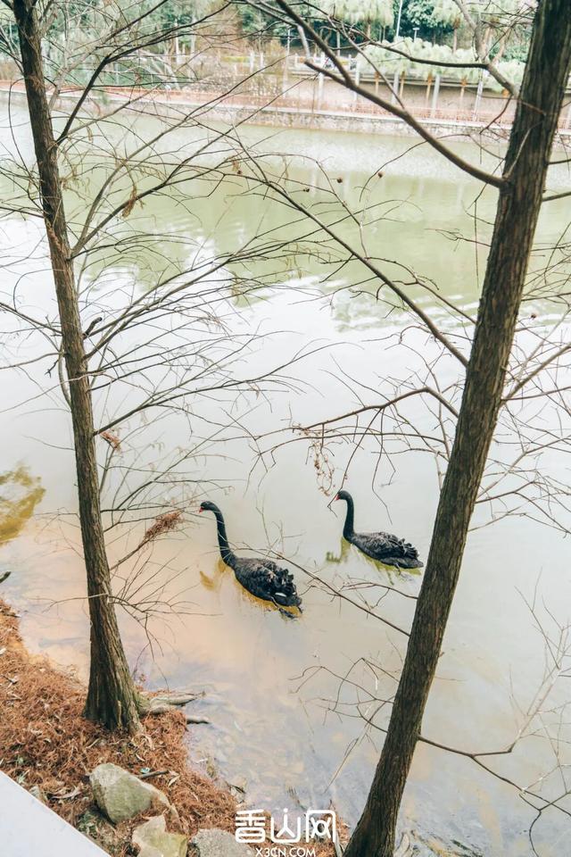 定了！“新”公园来了！景色堪比西湖！