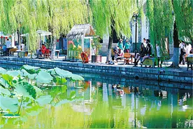春日里的“赏花经济”，激发消费新活力图片