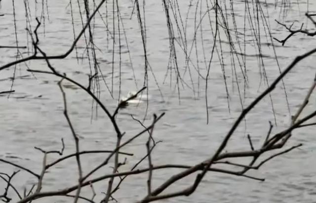 郑州失联6天女孩已死亡！哥哥悲痛发声原因曝光，知情人透露更多