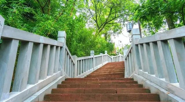 新津冬日徒步，看这里……