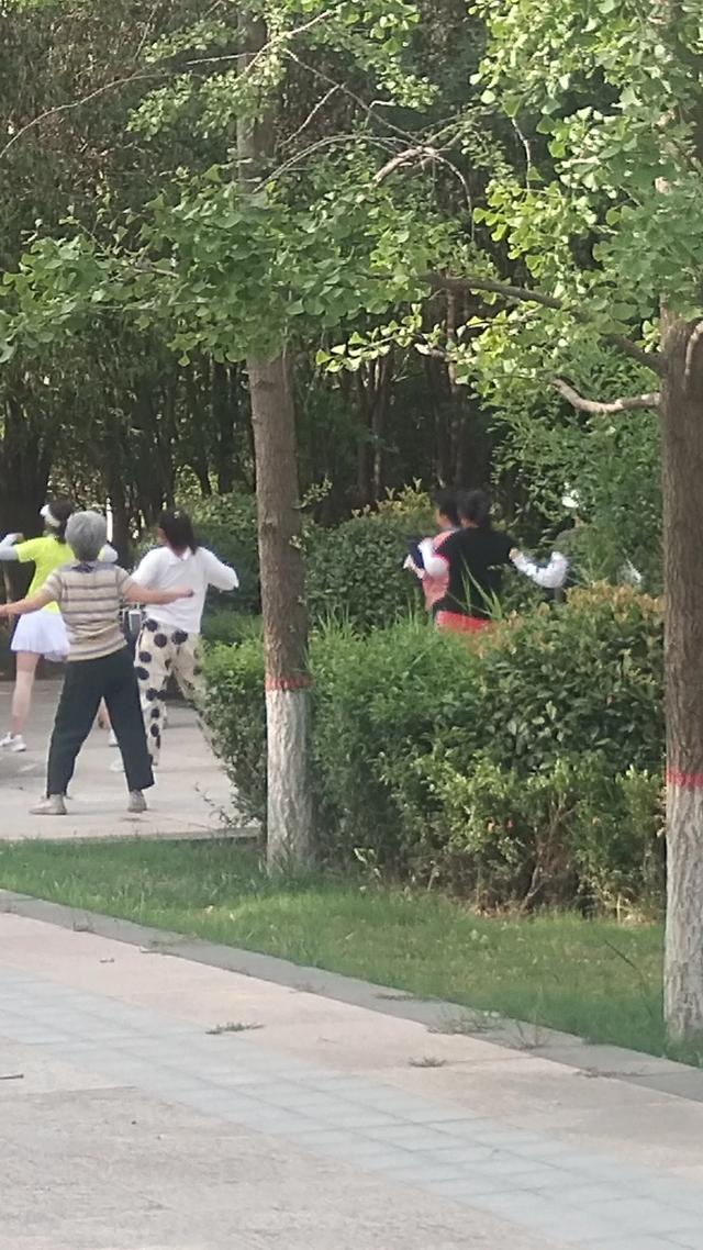 星期天的渭南人民公园人声鼎沸，热闹非凡