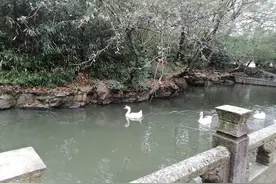 兰亭序（王羲之）逐句对译及生词注音释义图片