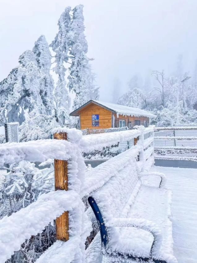 在雅安！！这么美的雪景我当然狠狠宣传啊啊啊！！