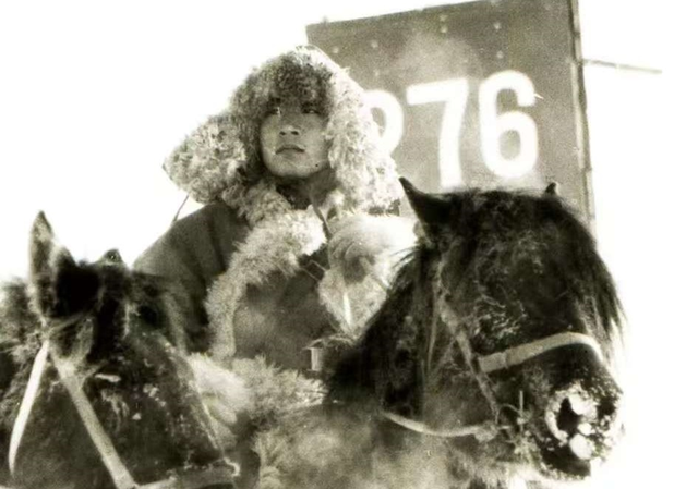 汤向进 | 北疆之叹