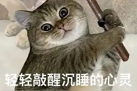 “关闭直播带货功能诈骗”来袭，已有多人被骗图片