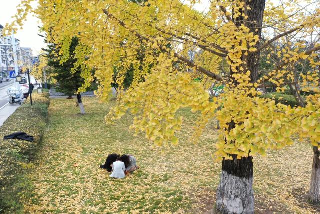 余庆的初冬，就藏在这些地方！
