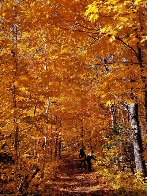 贵州私藏的5个秋色仙境，最后一个惊艳了千年时光！