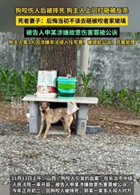狗咬人反杀案越扒越深，曝死者妻子吞他人装修钱，惨案也与她有关