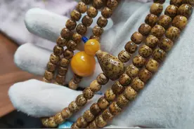 星月菩提为什么这么流行？图片