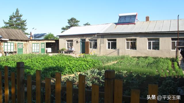 漠河归来说漠河（七）北极村的华丽“蝶变”