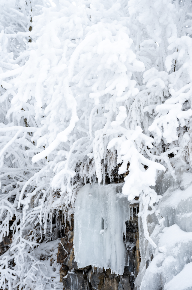 接下来的光雾山，四川人必游！耍雪、赏雪，一次性拿捏多重快乐～