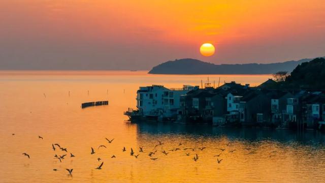 真的很美！2025苏州太湖观鸟超详细攻略来啦！