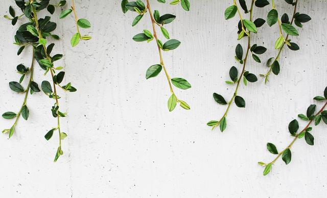 “害怕社交，喜欢独处，封闭自我”：你是社交恐惧症吗？