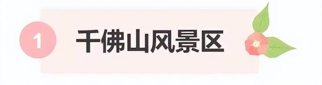 探寻济南冬日的秘密花园：最香蜡梅都藏在哪儿？