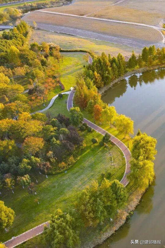 江 心 洲 秋 日 漫 游