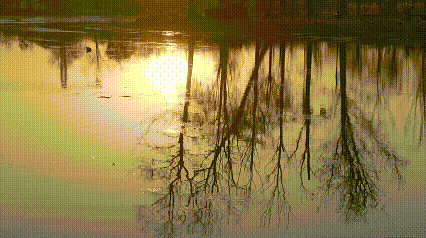 这么近那么美~猜猜这是哪？