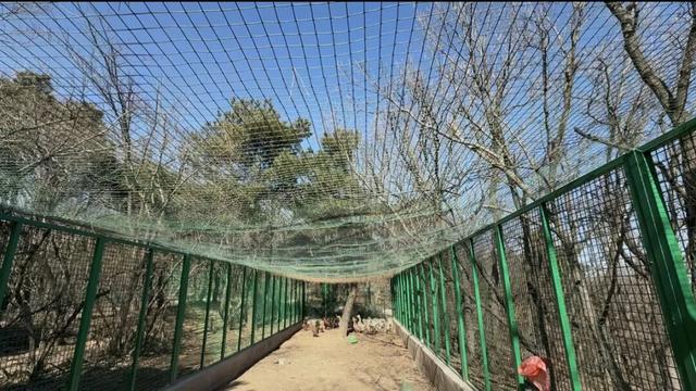 这个春节，我在嵩山之巅“看天”