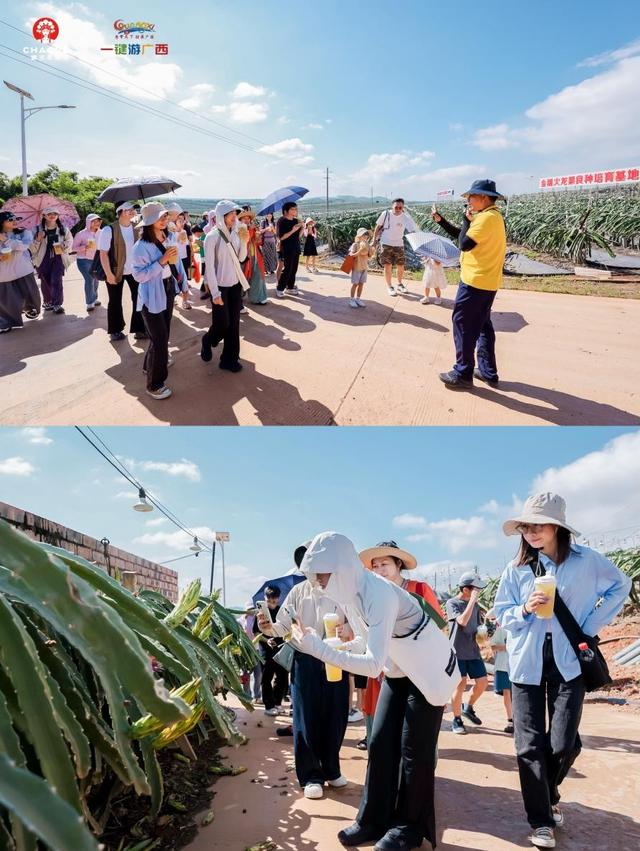 茶韵联动山水，双节玩转八桂！霸王茶姬联动广西旅游官方平台—一键游广西 解锁假期新体验