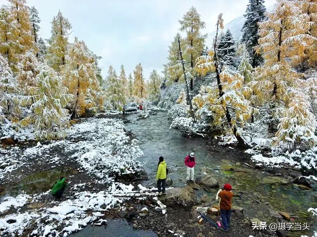 甲依拉措 ：一场白雪与彩林的盛宴