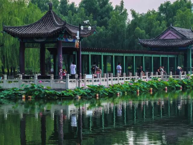 发现丰台之美 | 再会啦，丰台的盛夏