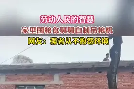 劳动人民的智慧！家里囤粮食舅舅自制吊粮机图片