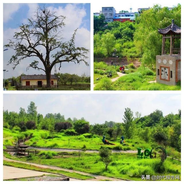 信阳市平桥区洋河镇：我的夏日记忆