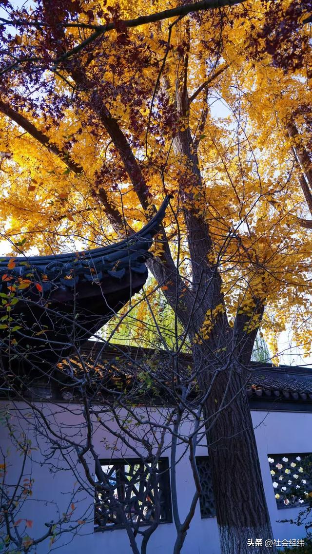 每日一景|封神赏景地·莫愁湖