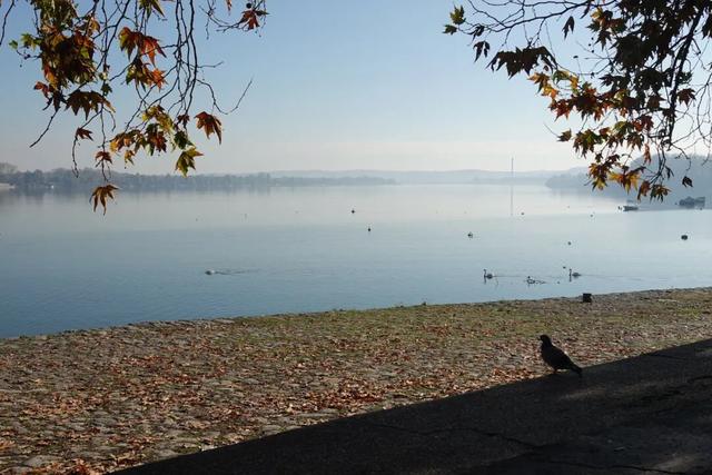 塞尔维亚，一座被轰炸过78天的城市的新生，贝尔格莱德一日游记