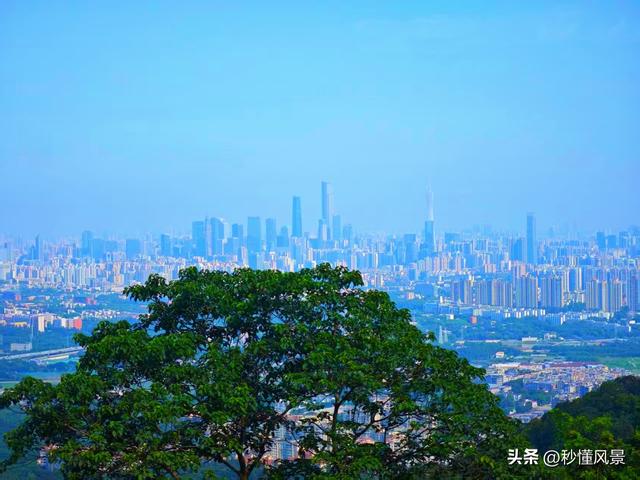 广州这个最美公园，比白云山人少，9000亩天然氧吧，太治愈了！