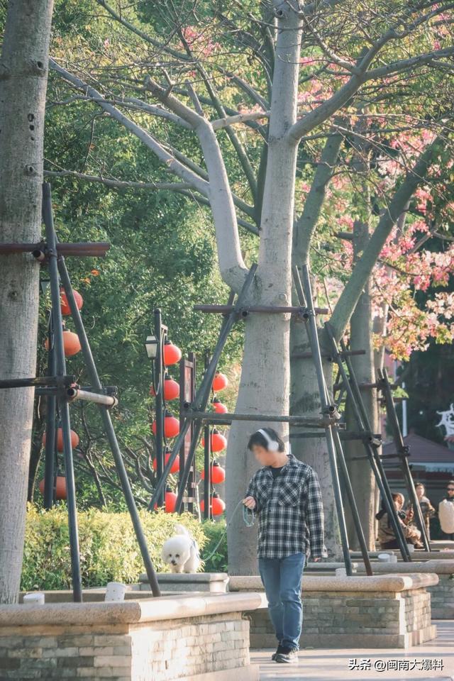 冬日暖阳里，来丰泽这儿享受惬意时光