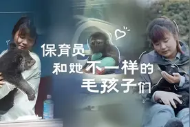 保育员和她不一样的毛孩子们图片