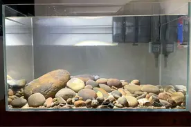 养鱼第一步！如何科学“养水”图片