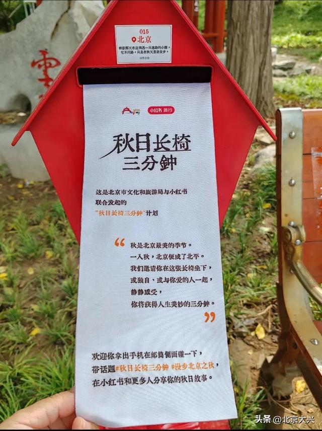 跟着小红书“秋日长椅三分钟”计划，打卡大兴限定秋色！点位——