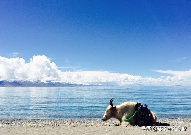 一生必看的10处自然奇观，每一处都让人跪拜，去过3处算你牛！