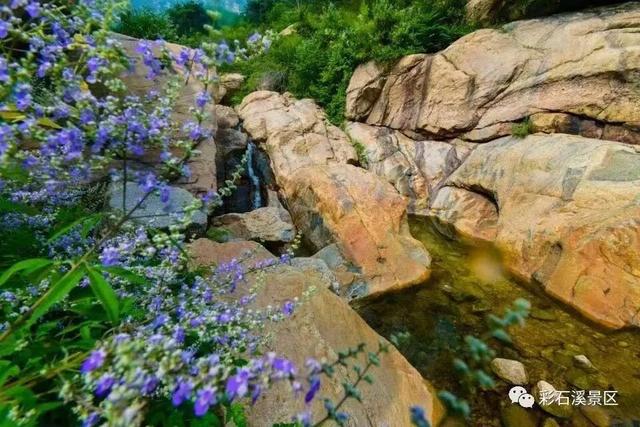 待济南天朗气清，来一场自驾山、村、溪、湖之旅散散心吧！